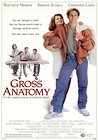 Gross Anatomy