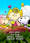 Snoopy Presents: It's the Small Things, Charlie Brown