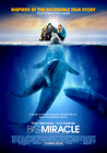 Big Miracle