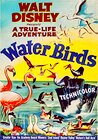 Water Birds