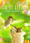 First Flight: A Mother Hummingbird's Story