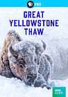 Great Yellowstone Thaw