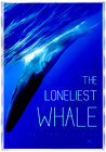 The Loneliest Whale: The Search for 52