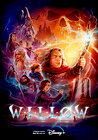 Willow