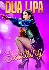 Dua Lipa: Elevating