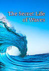 The Secret Life of Waves