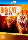 Big Cat Games