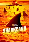 Sharkcano