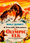 The Olympic Elk