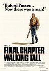 Final Chapter: Walking Tall