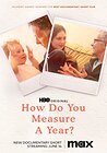 How Do You Measure a Year?