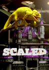 Scaled