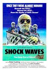 Shock Waves