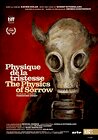 The Physics of Sorrow