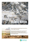 Blood River Crossing