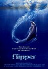 Flipper