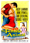 The Female Animal