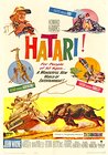 Hatari!