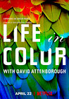 Life in Colour