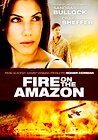 Fire on the Amazon