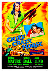 Chief Crazy Horse