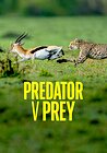 Predator v Prey
