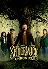 The Spiderwick Chronicles