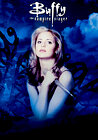 Buffy the Vampire Slayer